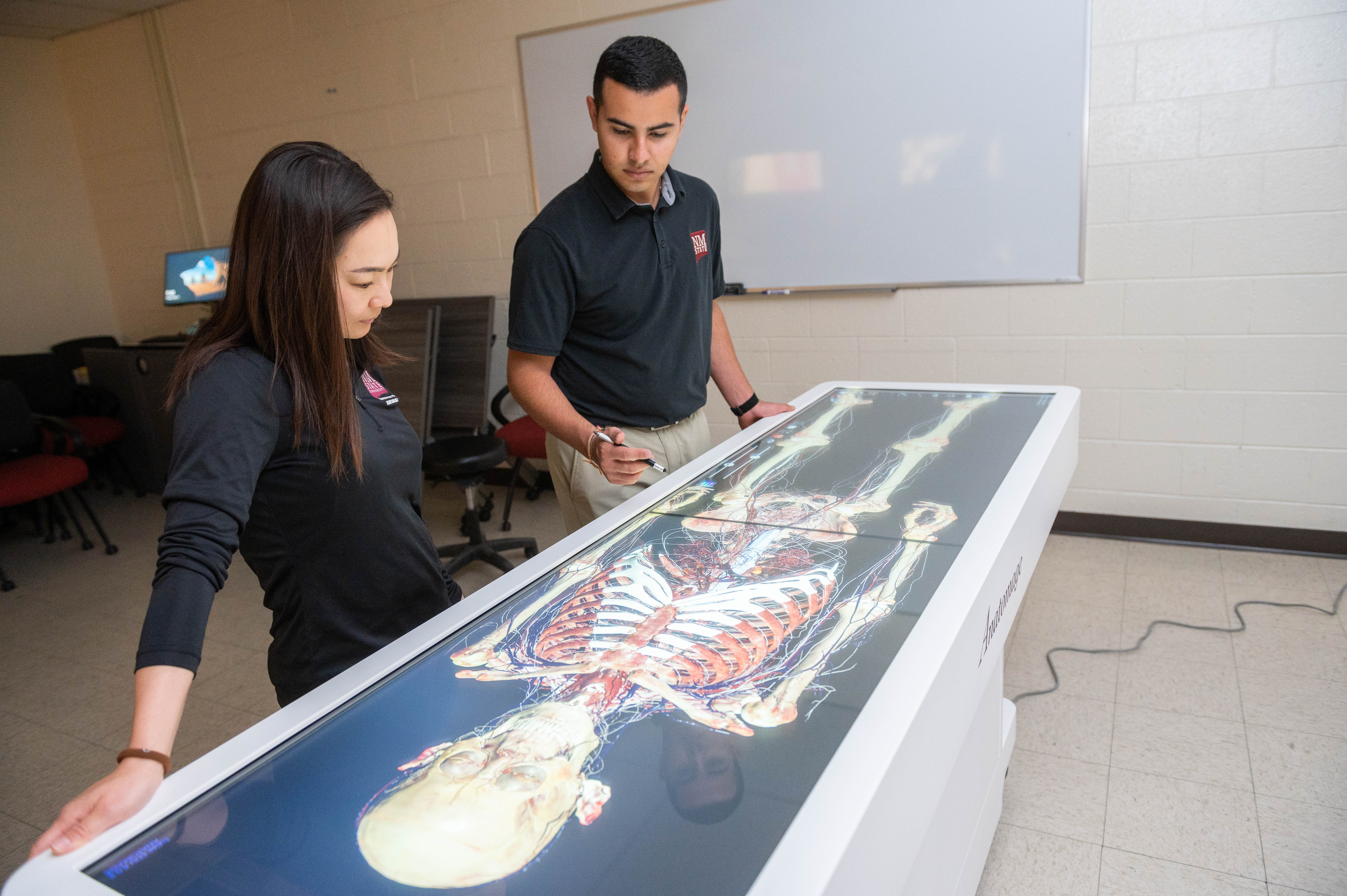 human anatomy table